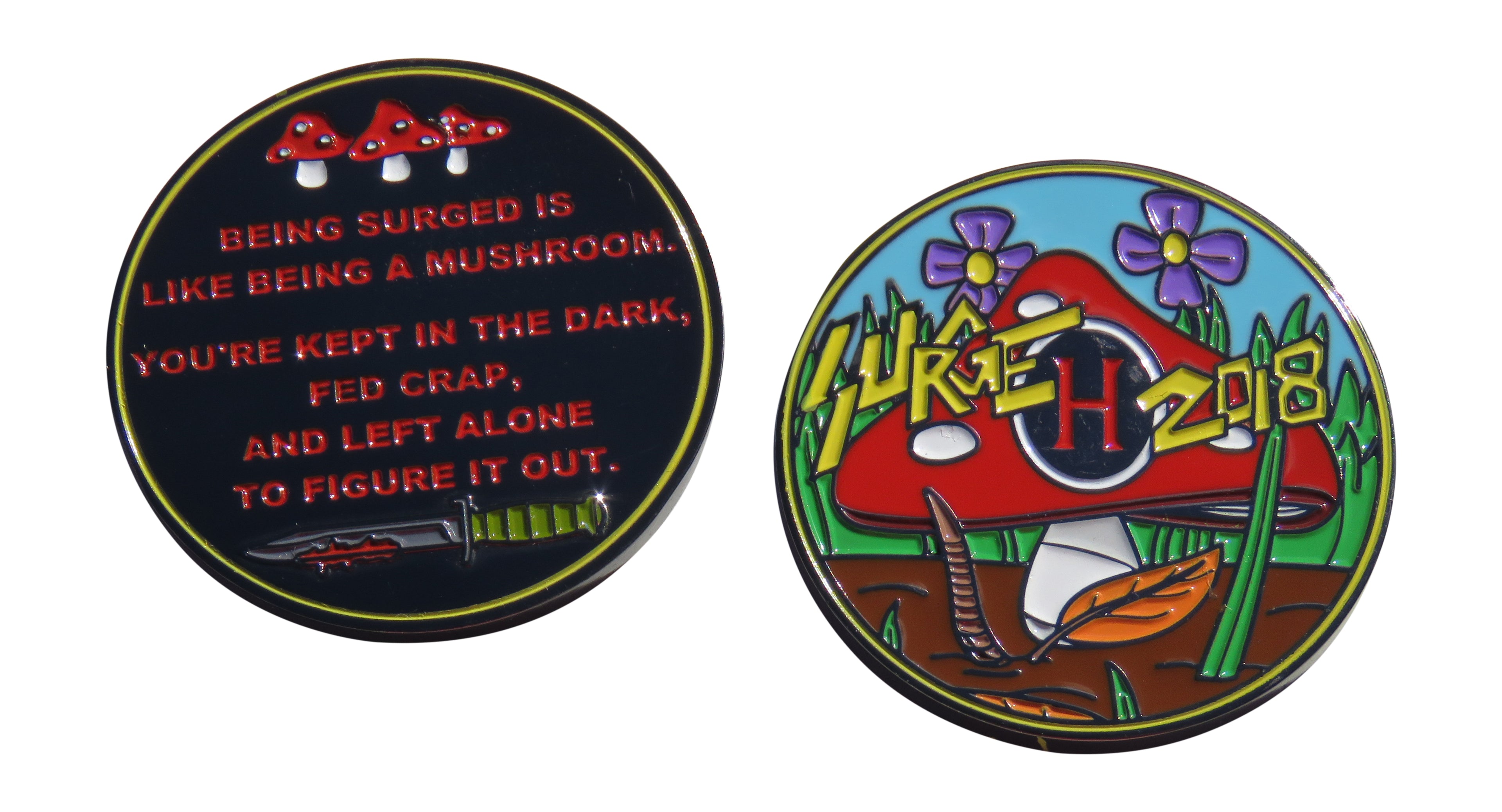 USCIS Surge H 2018 Challenge Coin
