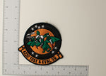 U.S. Air Force 422D Test & Evaluation Squadron Patch