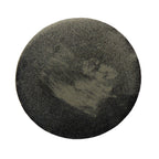 NICS Network of International Christian Schools Challenge Coin