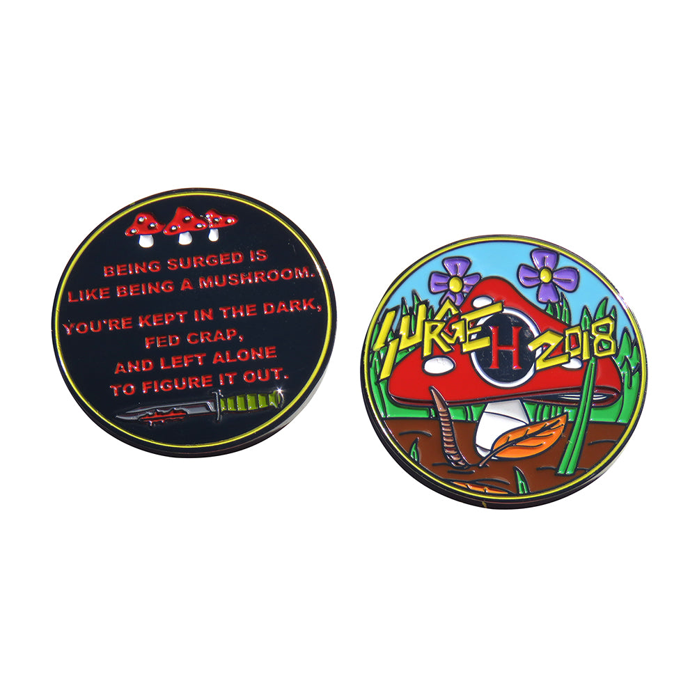 USCIS Surge H 2018 Challenge Coin
