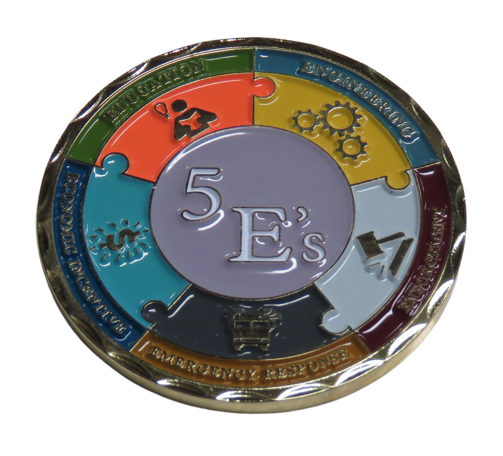 Palm Gardens FL Fire Rescue Risk Reduction Challenge Coin