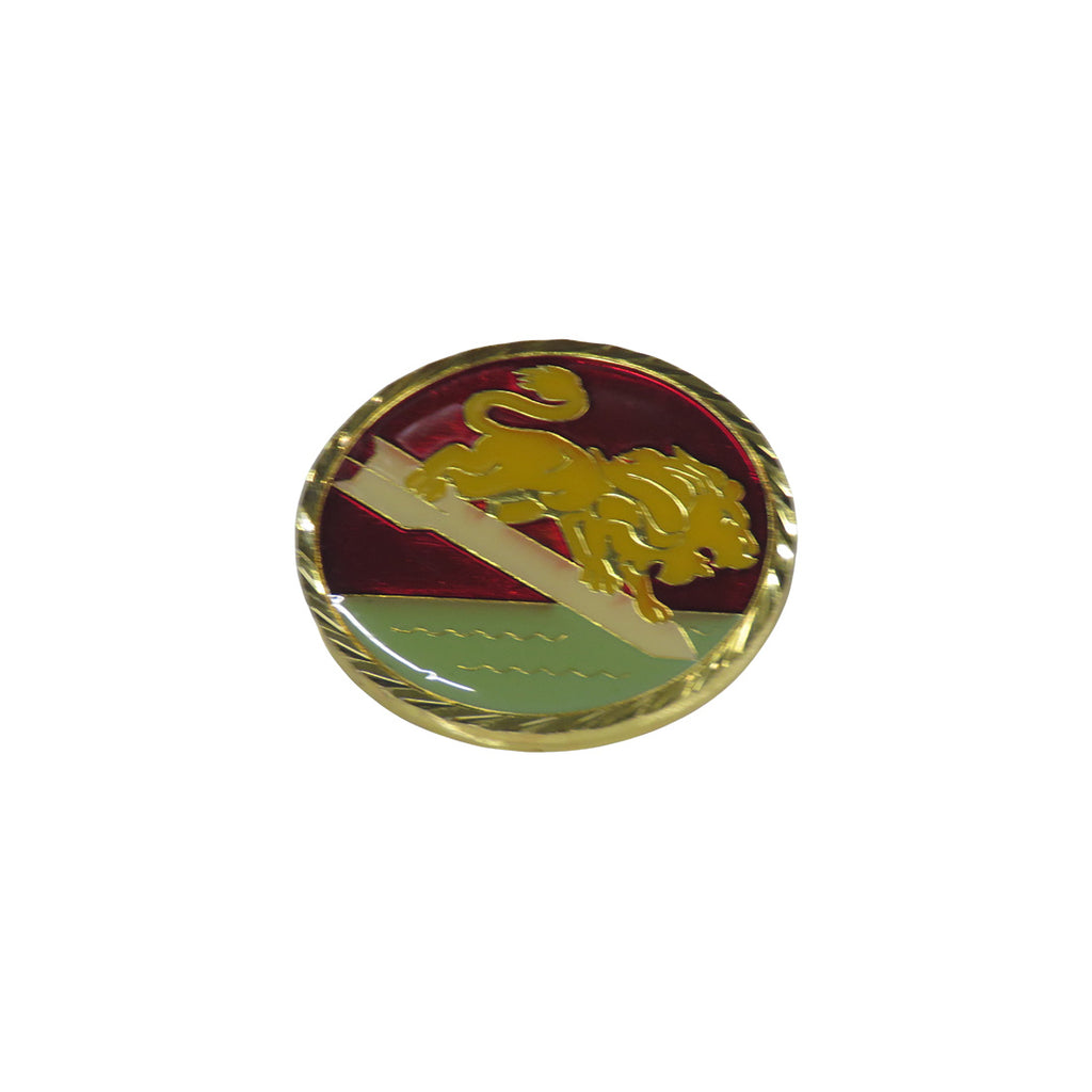 Strikefighter Squadron 15 Chiefs Valions Navy Initiated and Proud Challenge Coin
