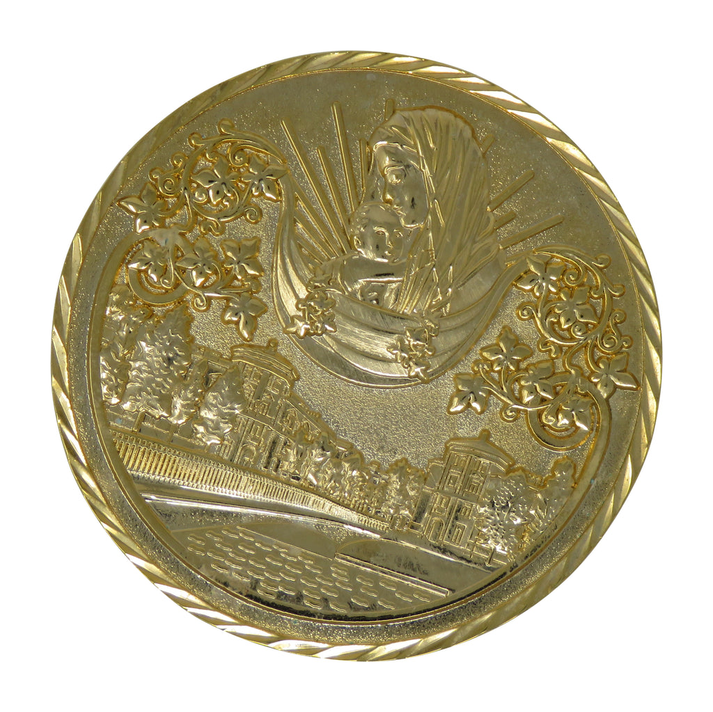 Mother Carrying A Child Challenge Coin