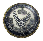 USAF For Leadership by Example Chief Master Sergeant Jose Silva Challenge Coin