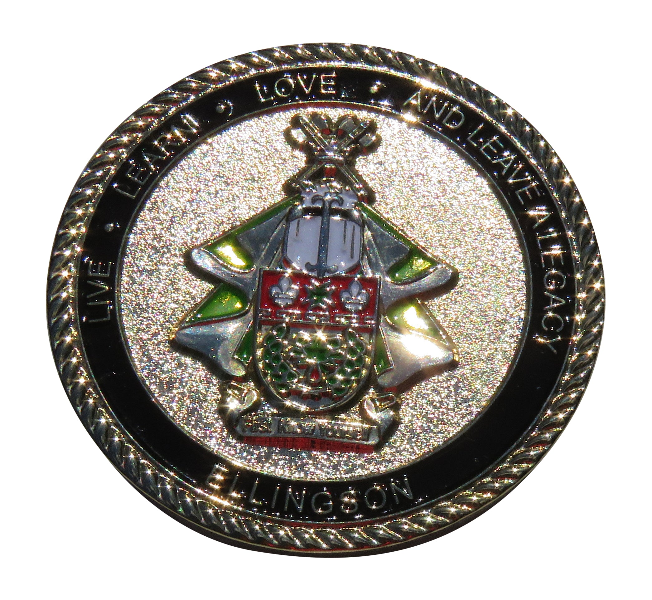 Ellingson CHS NDSU LIlly ADA Eagle Scout Challenge Coin