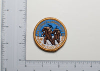 Meridian District Klondike 2010 100 Years of Scouting Patch