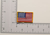 Mini USA Gold Border Flag